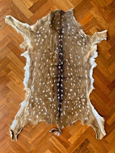 Tanned AXIS Deer SKIN LEATHER Chital HIDE RUG Argentine Deerskin - REAL PHOTOS ! - Picture 1 of 5