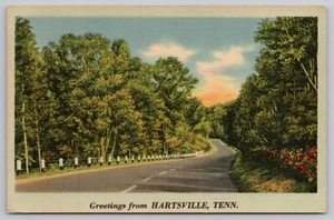 1940s Greetings From Hartsville Tennessee, Linen Postcard, Rural Road TN, Tenn. - Picture 1 of 2