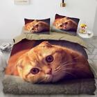 3D Folds Big Eyes Cat Zhub394 Bed Pillowcases Quilt Duvet Cover Queen King Amy