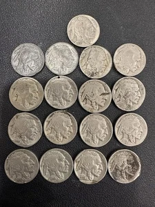 büffel nickel lot 17 - Bild 1 von 2