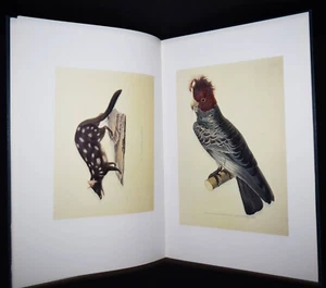 Bougainville, Journal de la navigation autour du globe …Imperial-Folio-FAKSIMILE - Picture 1 of 14