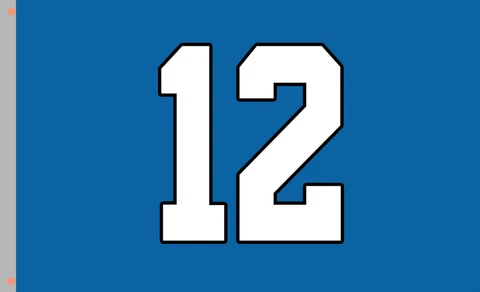 Seattle Seahawks 12 football team Memorable flag 90x150cm 3x5ft best banner 100D Cover