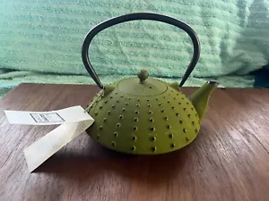 NWT Teapot Tea Infuser Textured Green Cast Iron Kettle - Well Equipped Kitchen - Picture 1 of 9