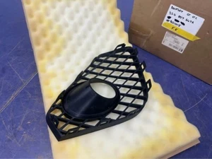 Bentley Continental GT Bumper Grille Insert - 3SD807647A .301015 - Bild 1 von 6