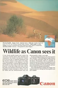 Canon E05 Vintage Magazine Ad Print “Wildlife As Canon Sees It” Gazelle - Picture 1 of 2