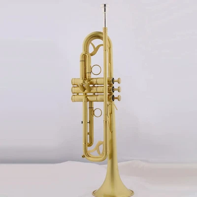 Trompeta de alta gama JBTR-450 latón antiguo bronce instrumento musical Bb trompeta plana Foto 1 de 4