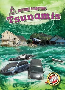 Tsunamis (Natural Disasters: Blastoff! Readers, Level 3) (Blastoff! Readers, Lev - Picture 1 of 1