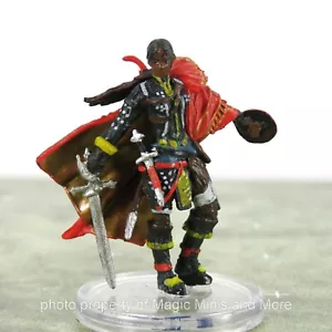 Iconic Heroes Advanced ~ JIRELLE HALF-ELF SWASHBUCKLER #3 Pathfinder Battles set - Picture 1 of 3