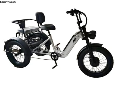 ELEKTROFAHRRAD E-BIKE 20 Zoll Elektrische Dreirad 500W 48V fracht/bemannte E-trike Aluminium Legierung