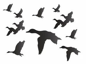 Stencils by Joanie Flying Duck Marsh Mallard Bird Hunt Wildlife Nature DIY Signs - Picture 1 of 6