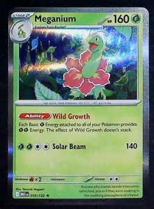 ME01: Mega Evolution Meganium Holo #010/132 - Bild 1 von 1