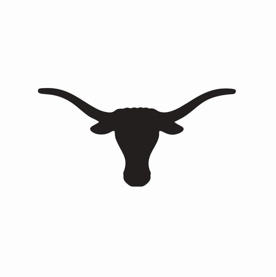 Texas Longhorns Football NCAA Vinyl Die Cut Car Decal Sticker FREE SHIPPING - Image 1 of 1