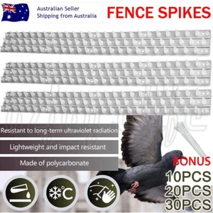 10/20/30x Birds Spike Human Cat Mouse Pest Control Security Spiked Fence Wall OZ - Picture 1 of 15