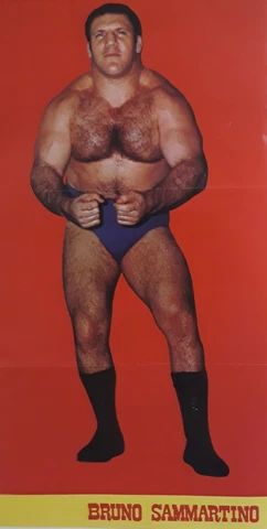 1970s Gong Magazine Vintage Bruno Sammartino Wrestling Poster WWF WWE HOF Legend Cover