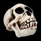 Affen Totenkopf mit beweglichem Unterkiefer - Gothic Totenschädel Tier Deko