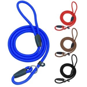 Pet Dog Slip Lead Nylon Rope Adjustable Loop Training P Leash No Collar Needed - Picture 1 of 16
