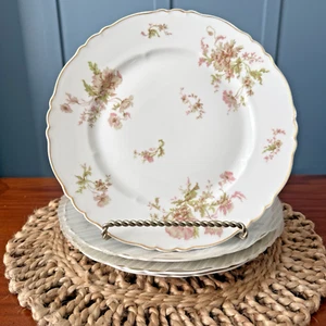 Haviland Limoges France Mohn Speiseteller 4er Set Gold Jakobsmuschelrand Blumen - Bild 1 von 6