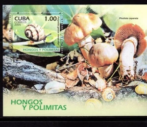 CUBA FUNGHI MUSHROOM PILZEN RIF 104 - Imagen 1 de 1