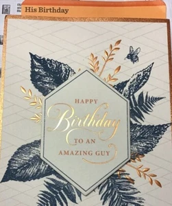 Tarjeta Hallmark SIS CUMPLEAÑOS, para GUY Friend, ÉL, compañero de trabajo familiar 7 opciones 33E - Imagen 1 de 21