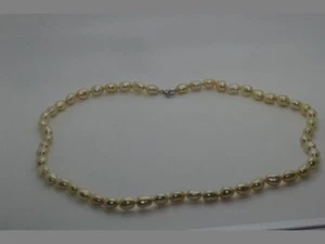 Honora Champagne Sterling Silver Cultured Freshwater Pearl Necklace 24" NWOT - Picture 1 of 1