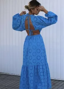 Zara Maxi Dress SZ S /Backless/Blogger/NWT - Picture 1 of 12