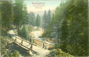 Riesengebirge, Weisswassergrund, Weberweg, 1905 - Picture 1 of 1