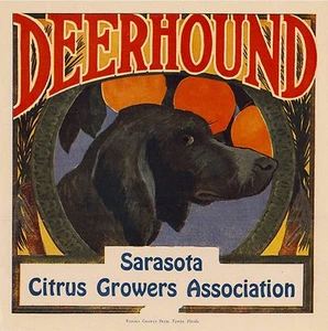 Sarasota Florida Ciervo Perro Cachorro Naranja Cítricos Caja Etiqueta Impresión - Imagen 1 de 1