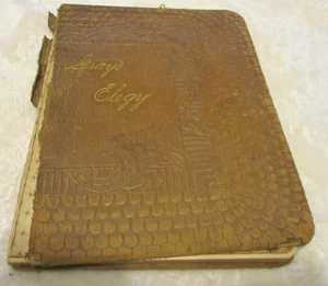 An Elegy Written in a Country Churchyard~The Artistic Edition~1887~Antique~ - Picture 1 of 12