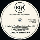 Caron Wheeler - Livin' In The Light (12", Promo)