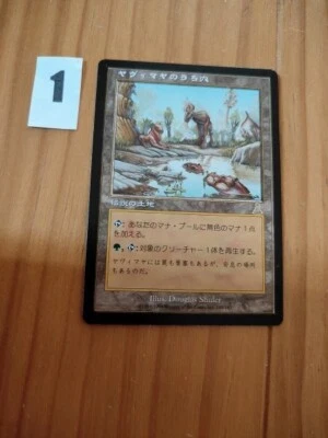 MTG Magic Urza's Destiny Yavimaya Hollow Japanese NM 	Douglas Shuler - Image 1 of 4