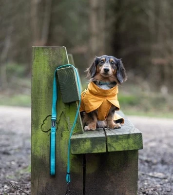 RUKKA PETS Stormy Dog Coat Yellow