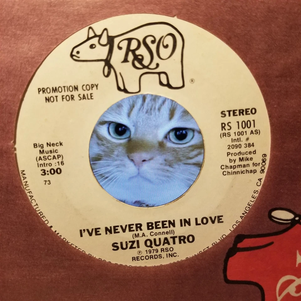 Suzi Quatro, I've Never Been in Love ~ 1979 RSO promo 45 +sleeve Foto 1 de 1