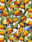 Tropical Fabric - Toucan Bird Selfies Packed - Timeless Treasures YARD