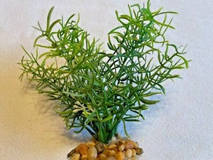6" BUSH 6-stem Thick Cover DITI-Sprengeri plastic plant, stone base - Picture 1 of 2
