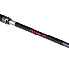 Shimano Intenza Casting Rod Bass, All Purpose Freshwater, Inshore, Saltwater Rod