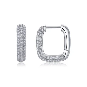 925 Sterling Silver D Color Moissantie Hoop Earrings for Women Pass Tester Gra - Picture 1 of 10