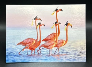 Tarjeta de felicitación de graduación (flamencos) con sobre - Imagen 1 de 5