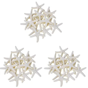 30 Piezas Lápiz Blanco Lechoso Dedo Estrellas de Mar para,5733 - Imagen 1 de 6