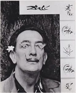 SALVADOR DALI artista surrealista pittore * ICONICA FOTO VINTAGE 1965 surrealismo - Foto 1 di 2