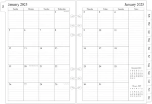 Newestor 2025 Monthly Planner Refill for 6-Ring A5 Binder, Two Pages per Month, - Picture 1 of 12
