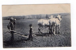 DB Postcard, Man Plowing Field with Son and Horses - Imagen 1 de 2