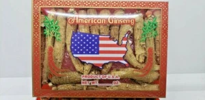 4oz Grade A+ 6 years Hand Selected American Ginseng X-Large Root /Gift BOX - Picture 1 of 3