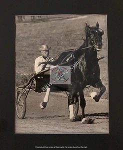 Vintage Horse/Harness Racing Photos: 8X10 B&W/Color Hambletonian State Fair JN15 - Picture 1 of 76