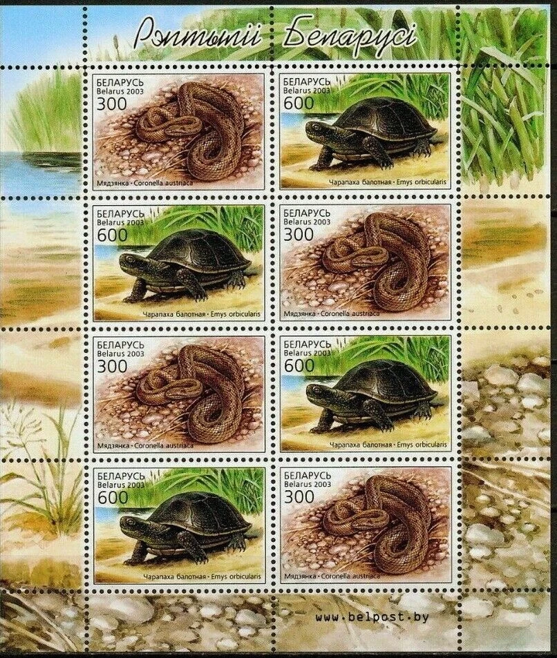 Belarus 2003. Fauna. Reptiles. Mini sheet. MNH - Image 1 of 1