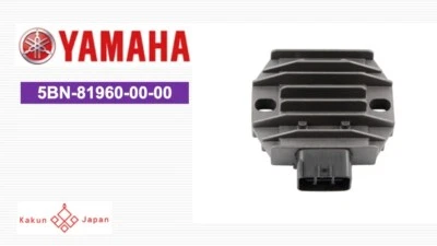 RECTIFICADOR REGULADOR YAMAHA OEM 5BN-81960-00-00 YFZ RAPTOR YFM 700 2009 - 2021 Foto 1 de 4