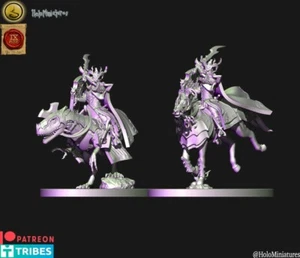 Dark elves Dreadlord Wargames - 9th age - tabletop gaming - old world - Imagen 1 de 12