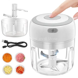 Electric 250ML Garlic Press Chopper Chili Onion Fruits Meat Mincer Blender Mixer - Picture 1 of 9