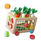 Wooden Activity Cube Early Developmental Threading Rope Matching Shape Sorter