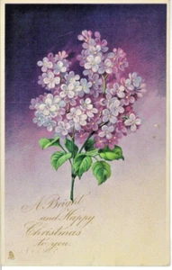 1905 TUCKS Merry Christmas Series 8235 Holiday Antique Vintage Postcard Floral - Picture 1 of 2