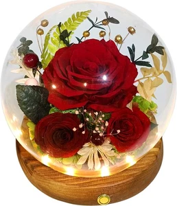 Valley of Rain & Forest langlebige echte Blumen, einzigartiges Blumengeschenk für Sie - Bild 1 von 6